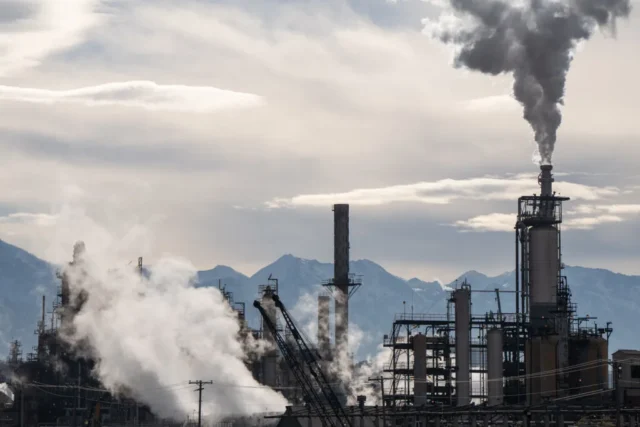 50d2bab17cf6c69bad6c37b119bc69e6